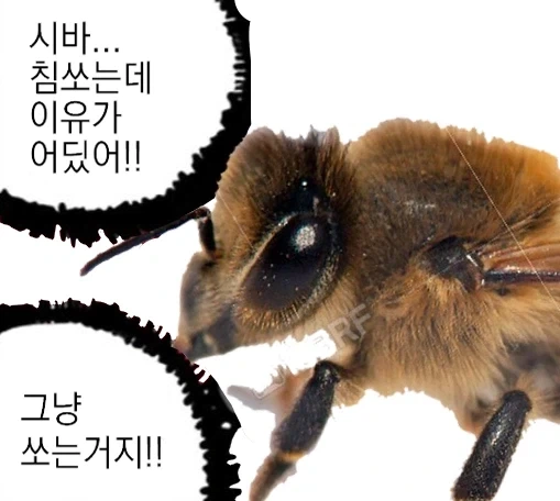 어떤 사람이 2년동안 고민했다는 철학문제.jpg_2.webp
