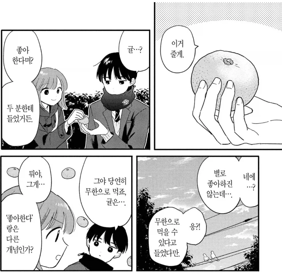 귤은 안좋아한다는 제주도민_1.webp