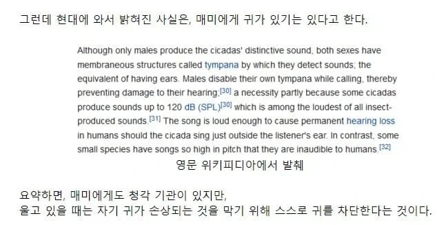 개 미친 이기적인 색기_1.webp