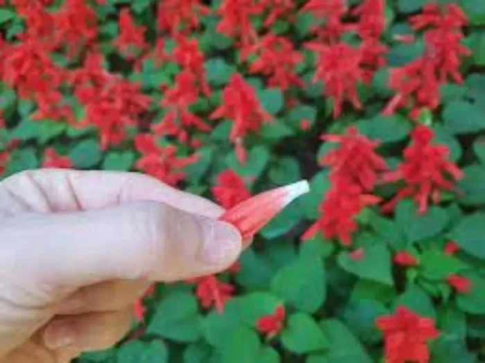 솔직히 지금 30 40대 꿀빤거 맞지않음?_1.webp