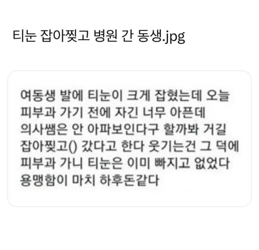 용맹한 여동생_1.webp