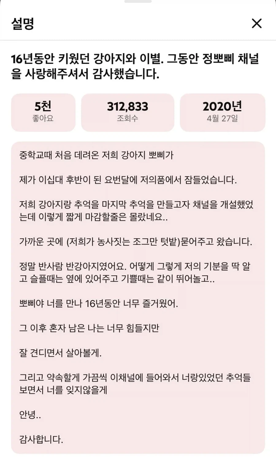 눈에넣어도안아픈우리집뽀삐.JPG_3.webp