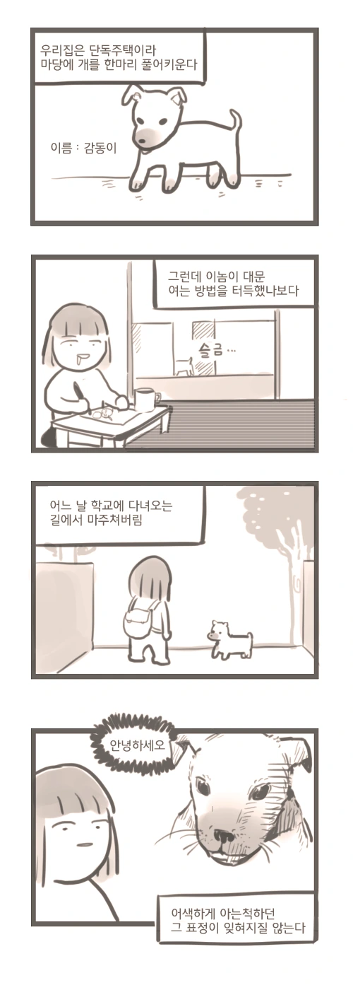91.jpg