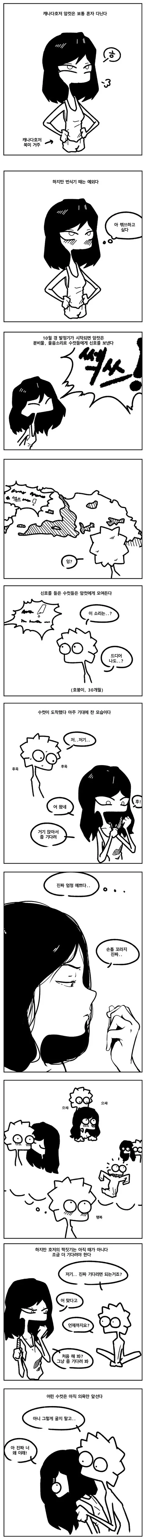 manga_235226_001.webp