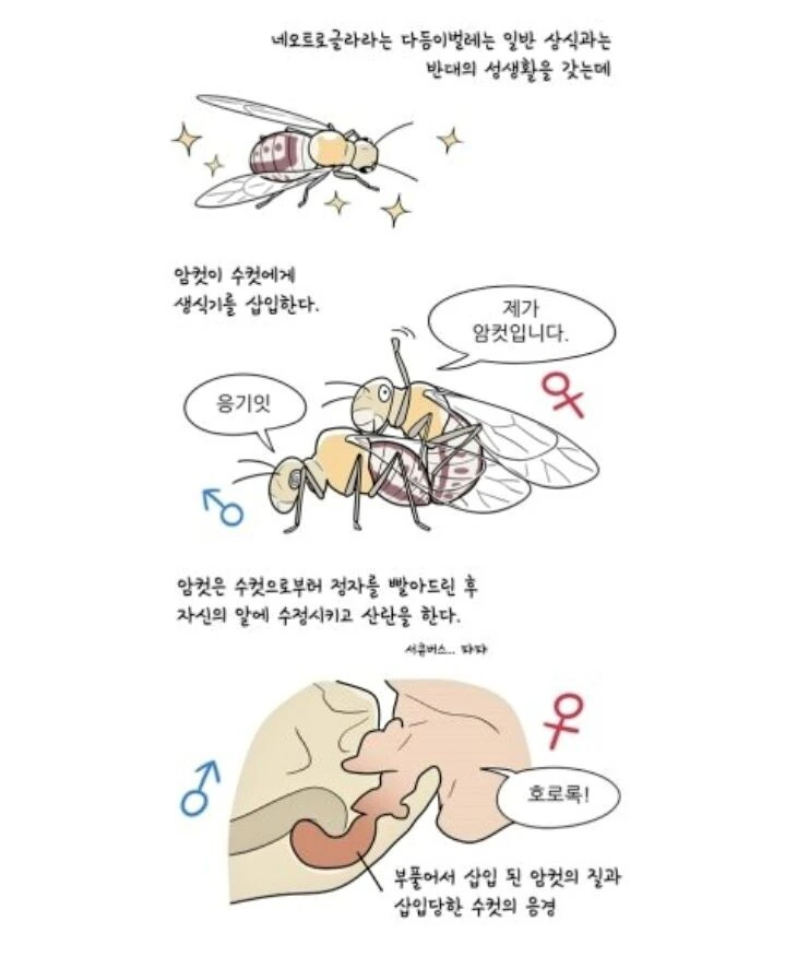 manga_2578146_001.webp