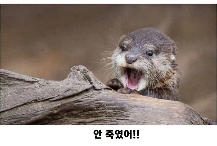 건담)주인공들이 살인을 대하는 태도_13.webp