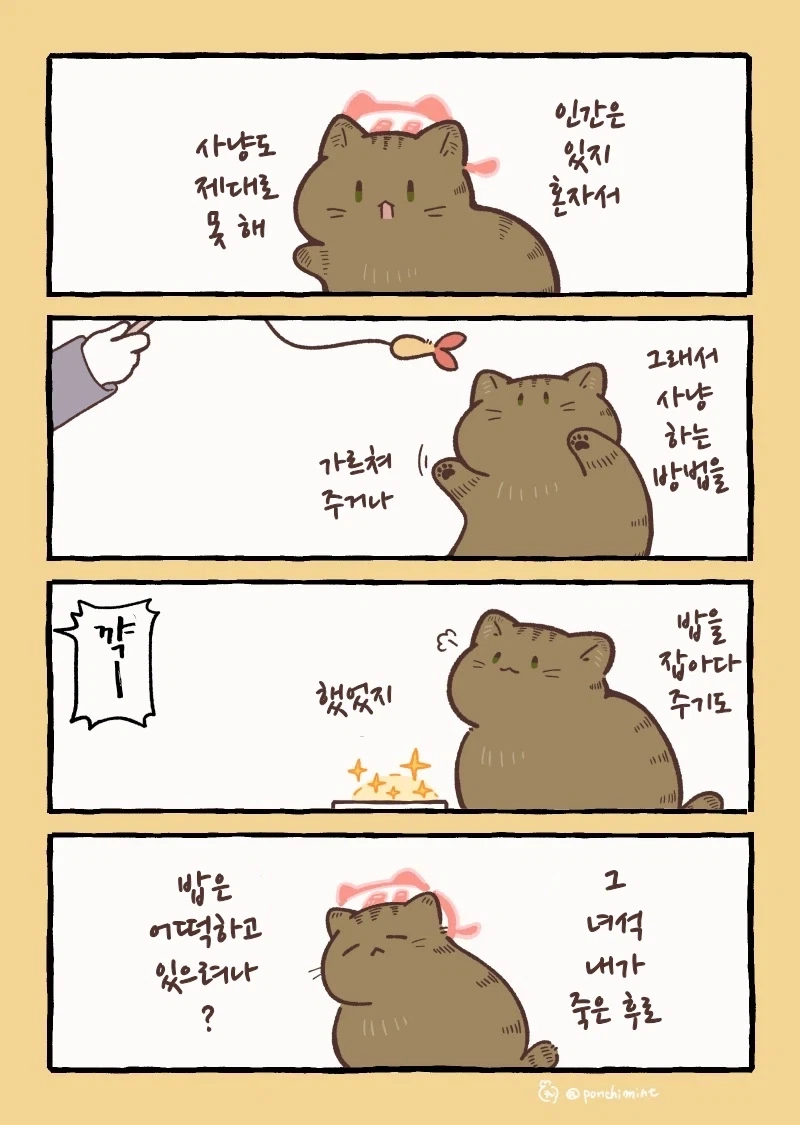 번역)천국에 와서도 걱정하는 고양이.manhwa_1.webp