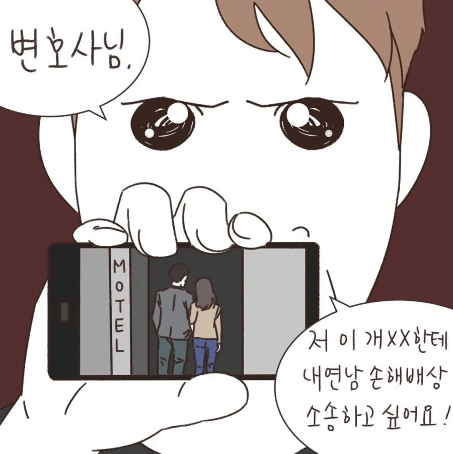 내연녀의 내연남을 소송하고 싶다는 만화_1.webp