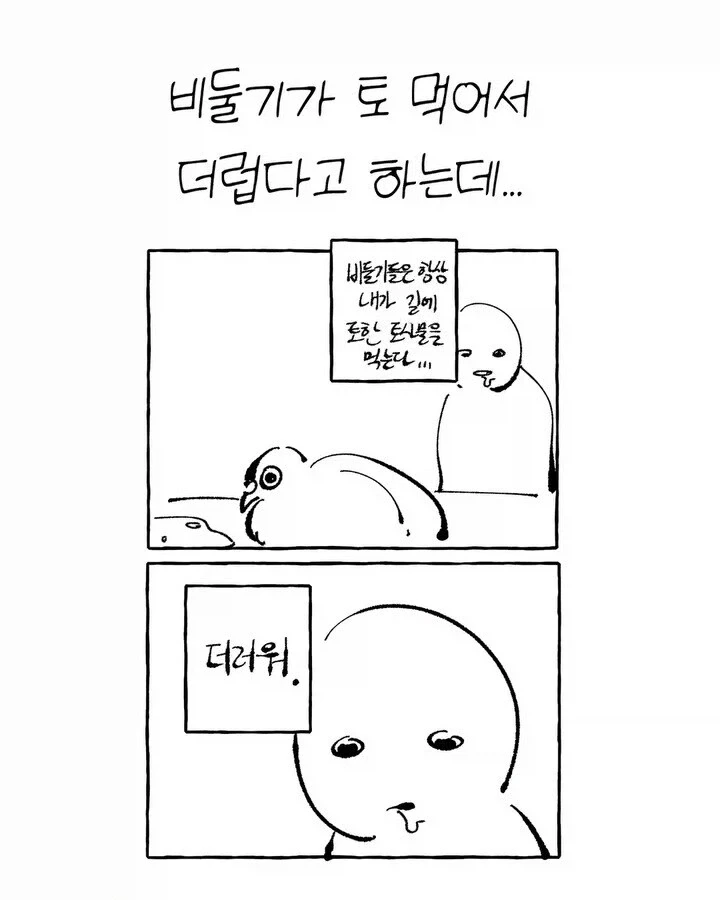 비둘기가 너무 귀여운 만화_8.webp