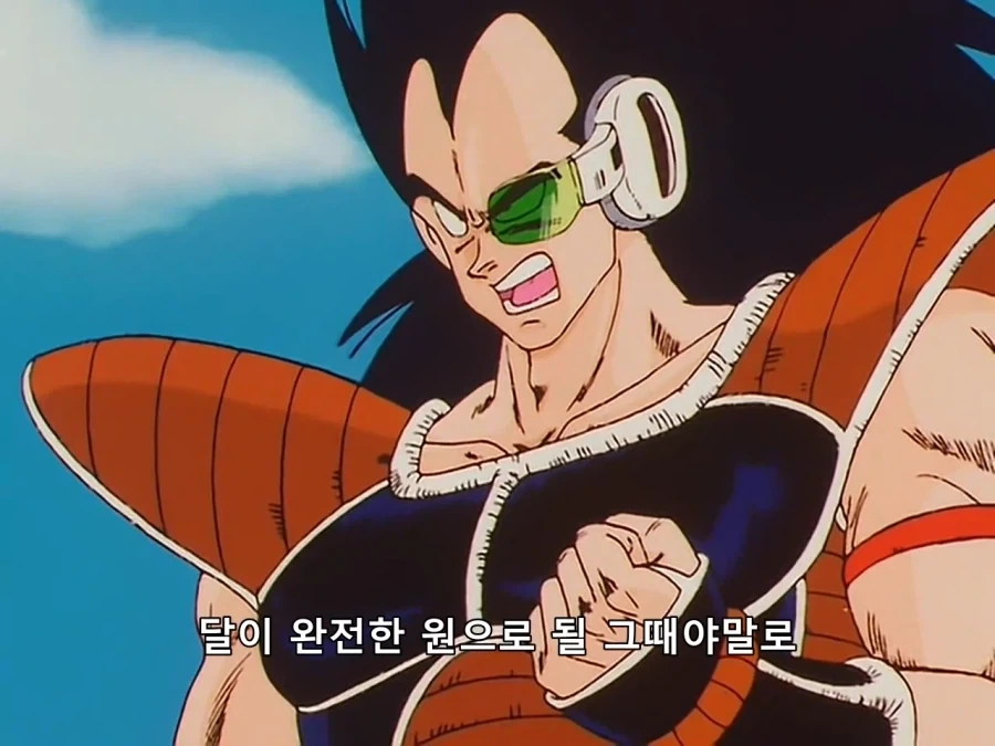 드래곤볼) 오랬동안 궁금했던 의문이 풀린 순간_4.webp