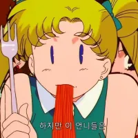 미소녀전사 세일러문 - 루트 비너스