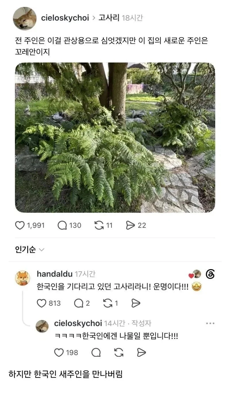 ???:이전 주인은 널 관상용으로 키웠지만..._1.webp