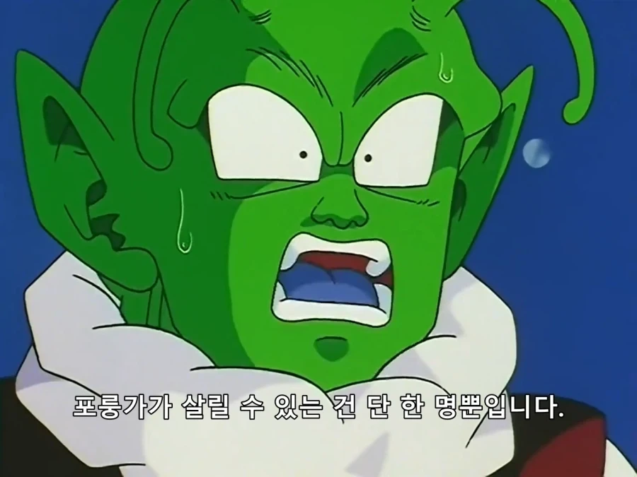 드래곤볼) 준비성이 철저한 나메크 성인_2.webp