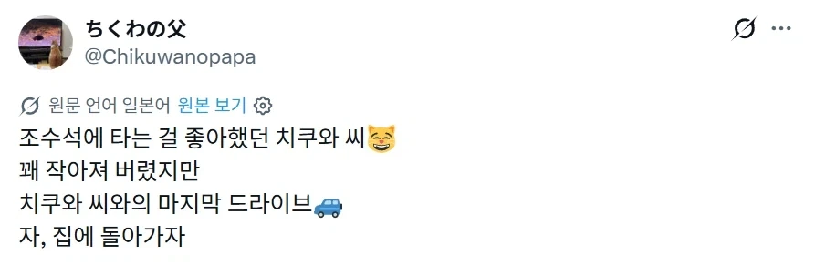 조수석에 타는 걸 좋아했던 고양이.CAT_1.webp