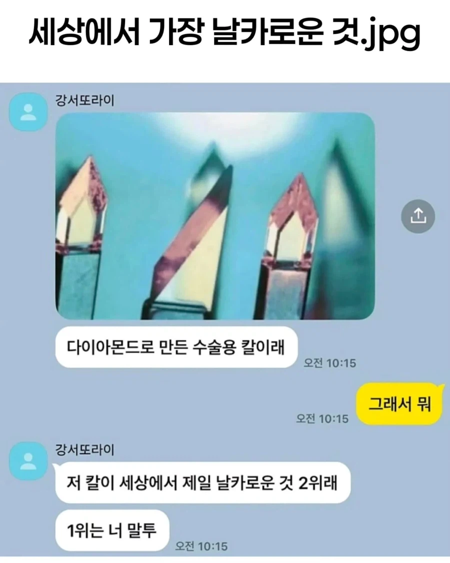 세상에서 가장 날카로운것.jpg_1.webp
