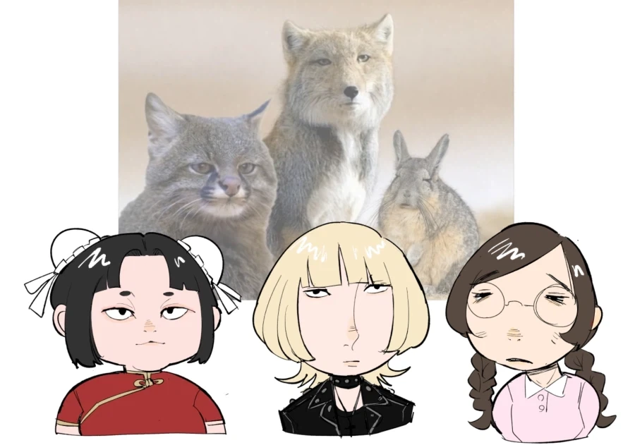 고라니는 갸루야_2.webp