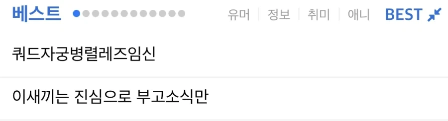 쿼드자궁병렬레즈임신.jpeg_1.webp