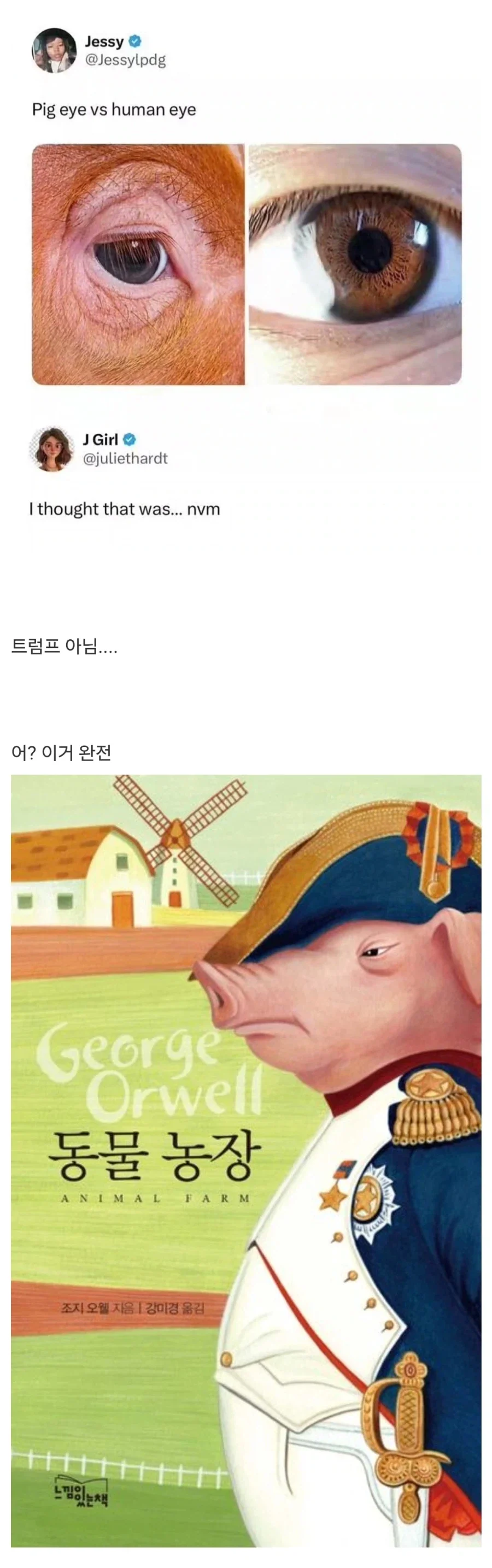 돼지의 눈과 인간의 눈_1.webp