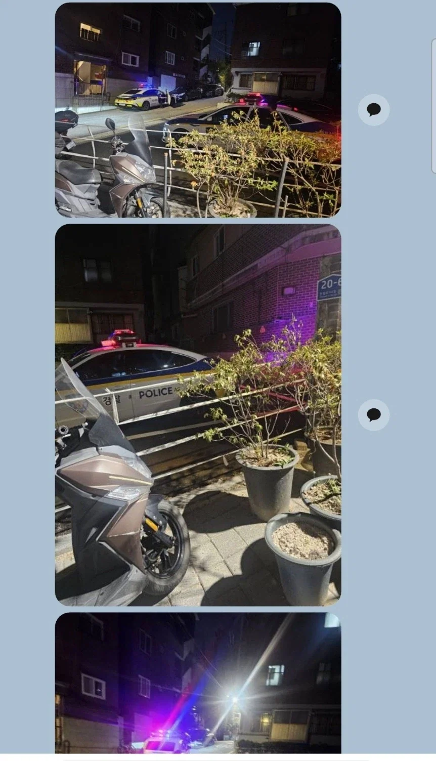 마당에서 꽃이 피었어요♡_2.webp