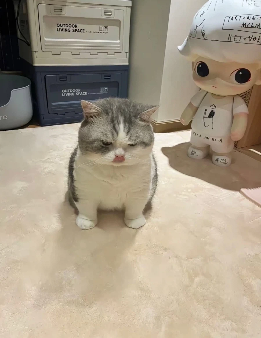 귀요미 냐옹이..._3.webp