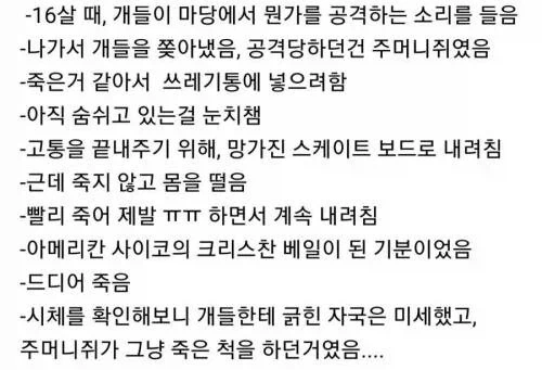 불쌍한 주머니쥐를 도와준.ssul_2.webp