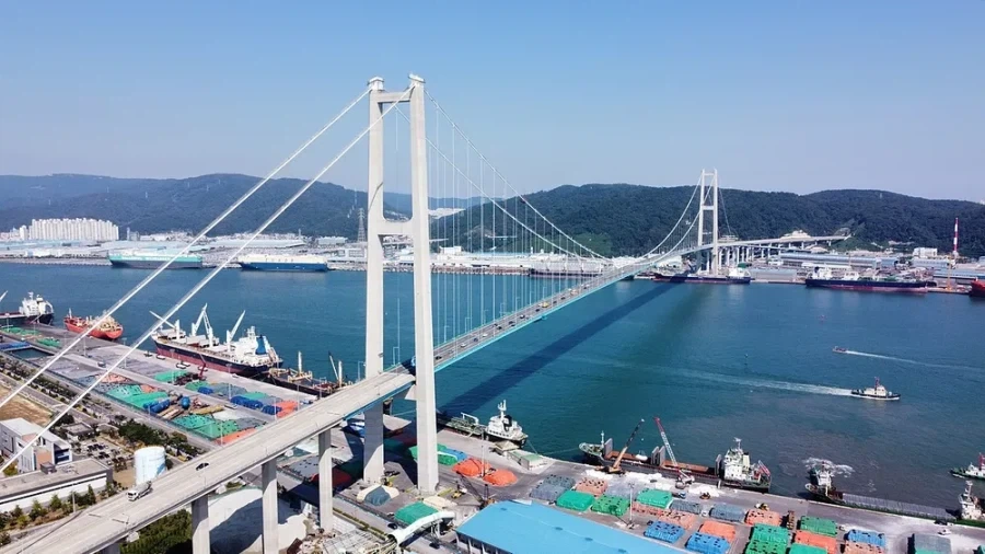 포켓몬 월드 드래곤 특징_2.webp
