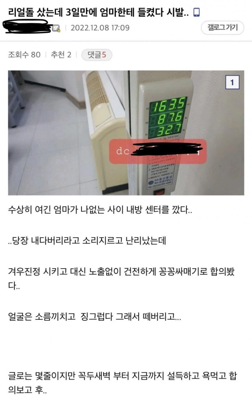 엄마한테 리얼돌 들킨 디시인_1.webp