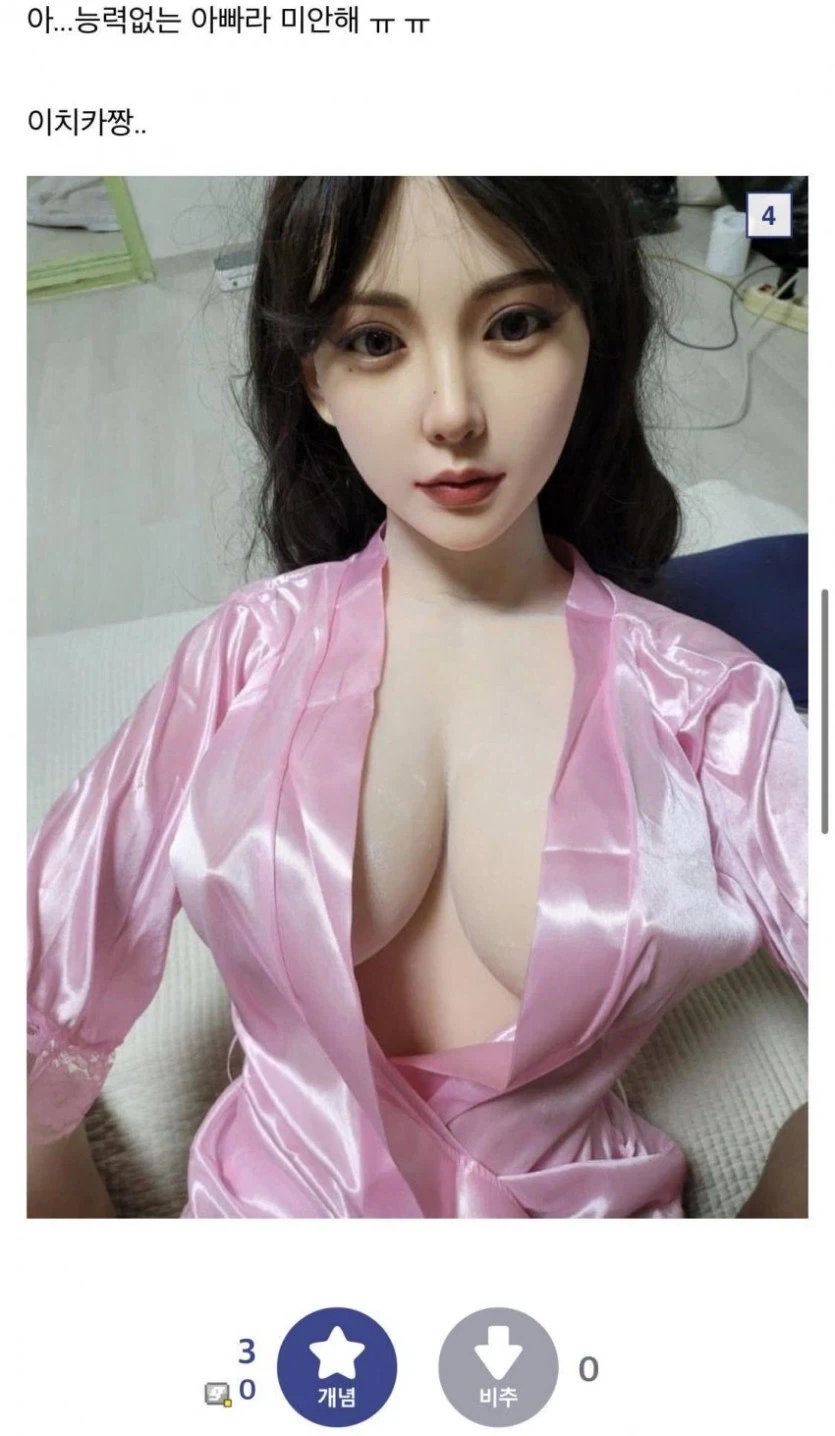 엄마한테 리얼돌 들킨 디시인_3.webp