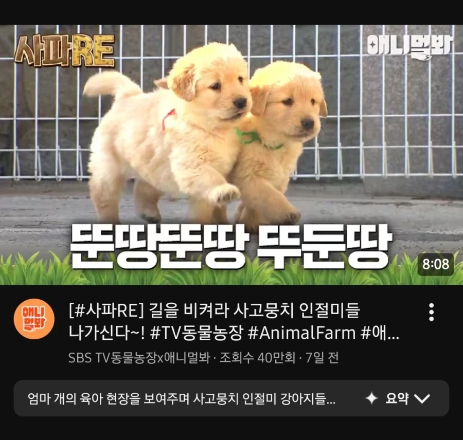 썸네일이 깡패라 결국 영상 터치함...._1.webp