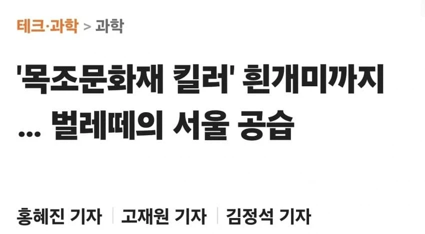 날 더워지니 슬슬 시작된거 ㅎㅎㅎㅎㅎ_1.webp