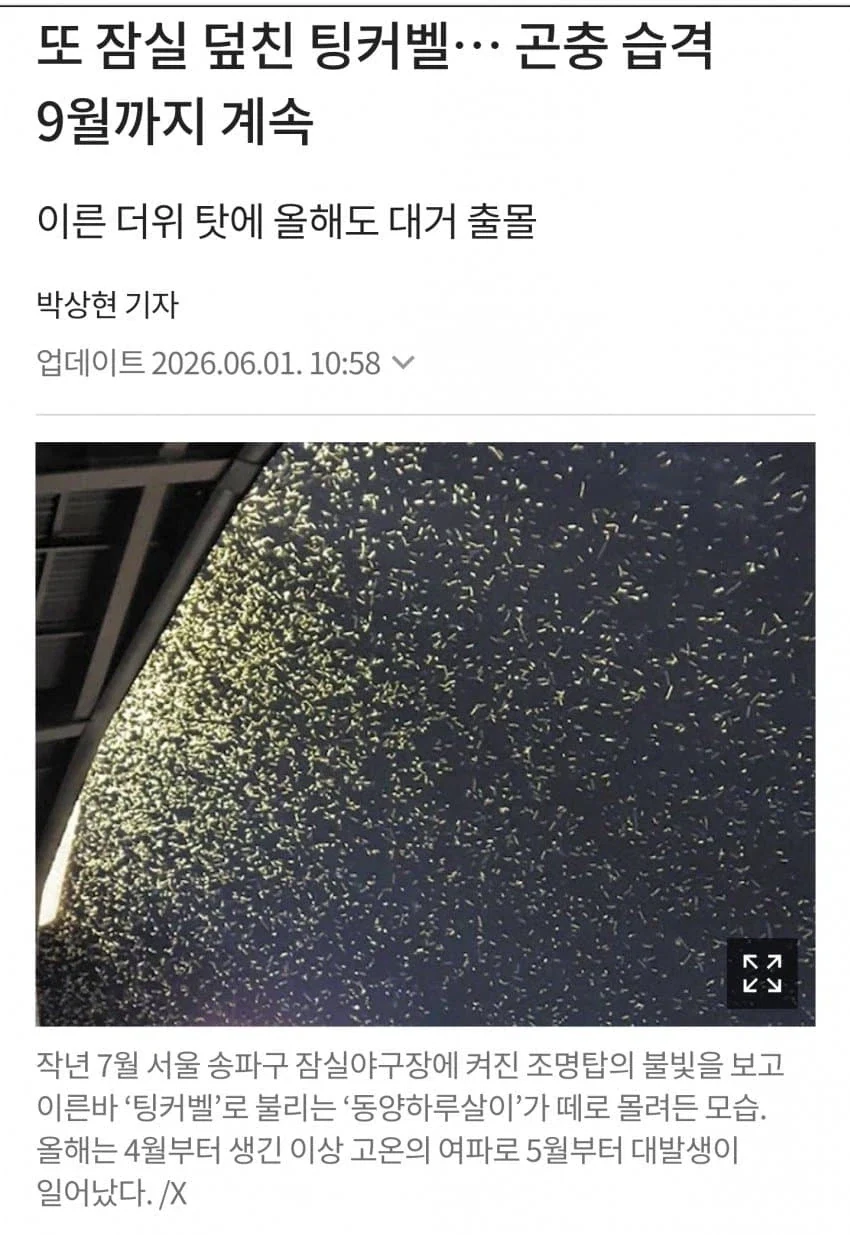 날 더워지니 슬슬 시작된거 ㅎㅎㅎㅎㅎ_2.webp