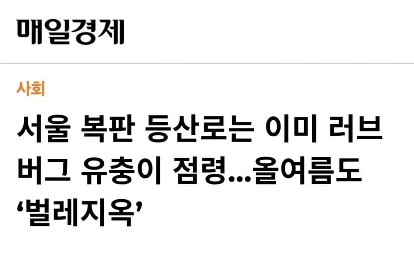 날 더워지니 슬슬 시작된거 ㅎㅎㅎㅎㅎ_3.webp
