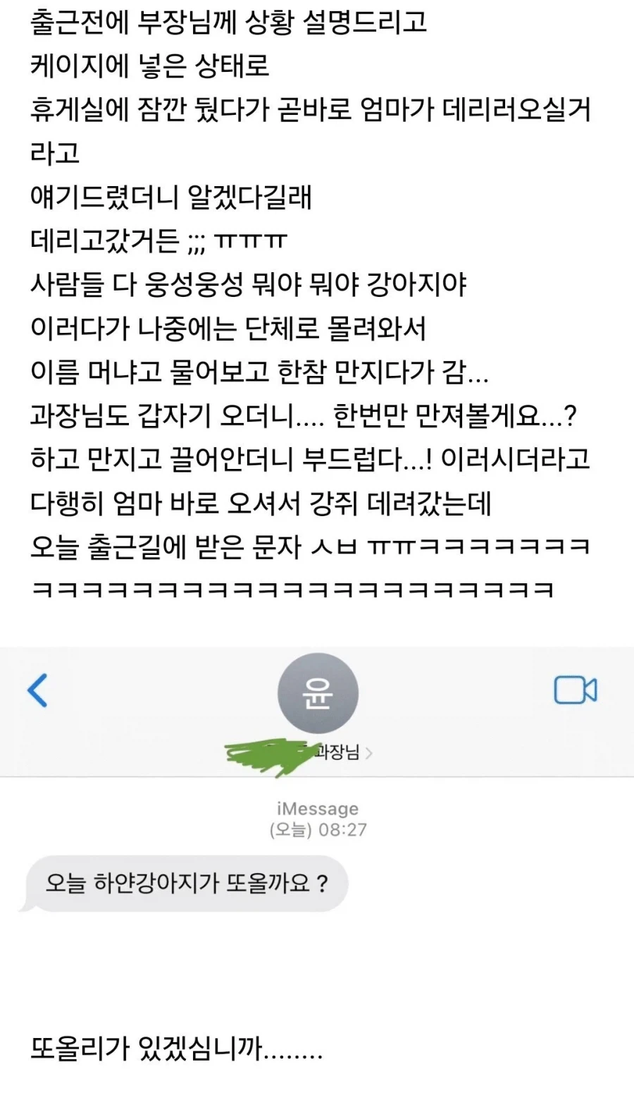 직장에 강아지 데려가면 안되는 이유.jpg_1.webp