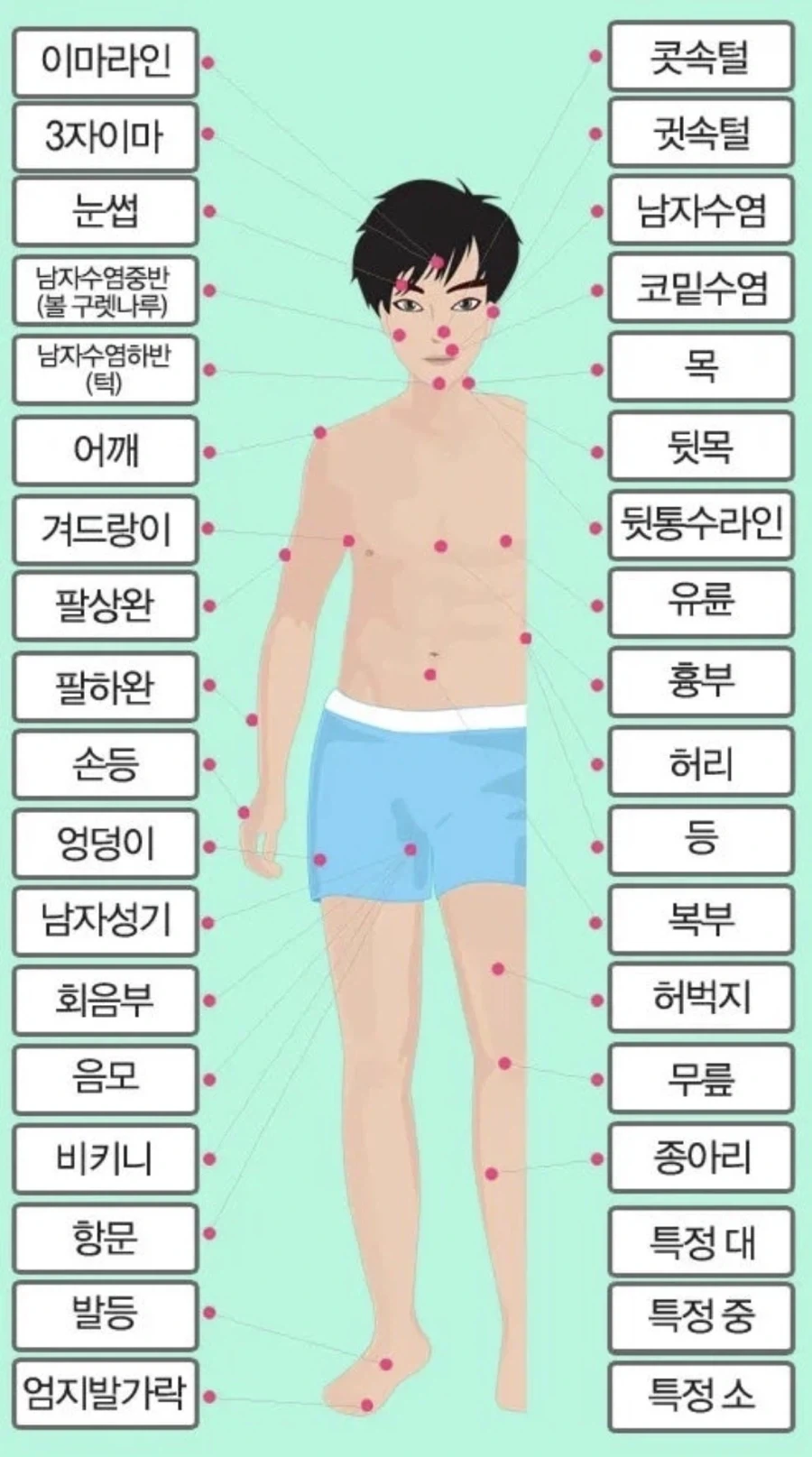남자들이 은근히 부러워하는 유형_1.webp