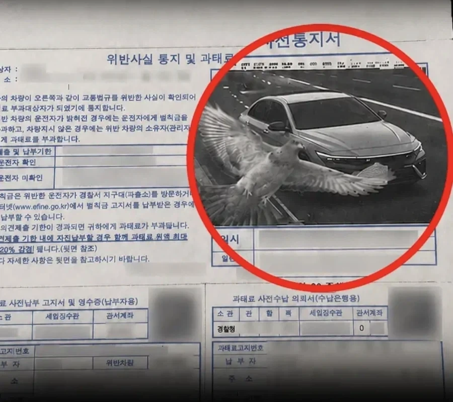 딱 한번만 도와드립니다_1.webp