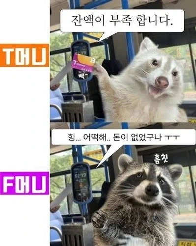 티머니가 불편한 사람들을 위한_1.webp