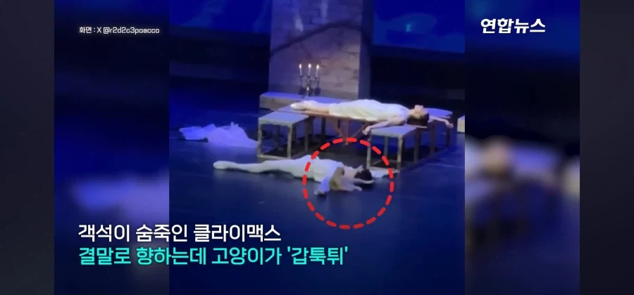 비극의 하이라이트인데 관객들 폭소가 쏟아진 공연_2.webp