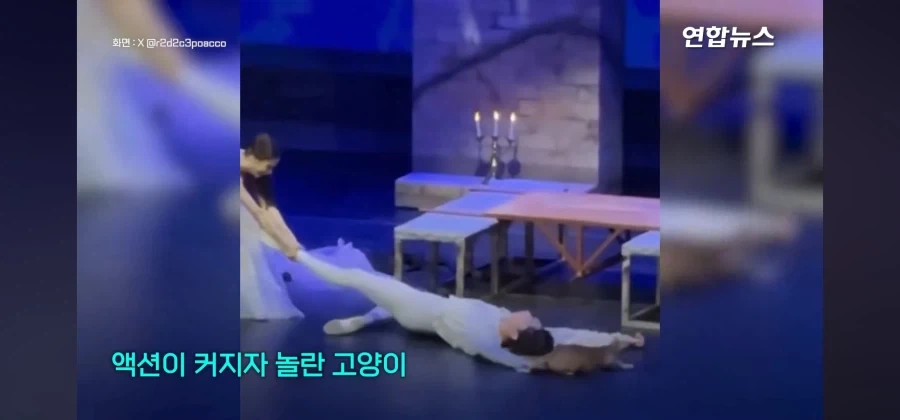 비극의 하이라이트인데 관객들 폭소가 쏟아진 공연_4.webp