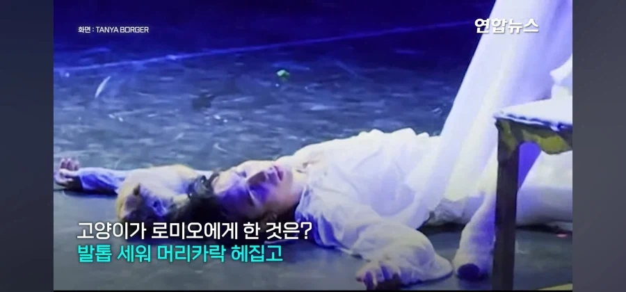 비극의 하이라이트인데 관객들 폭소가 쏟아진 공연_7.webp