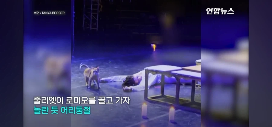 비극의 하이라이트인데 관객들 폭소가 쏟아진 공연_10.webp