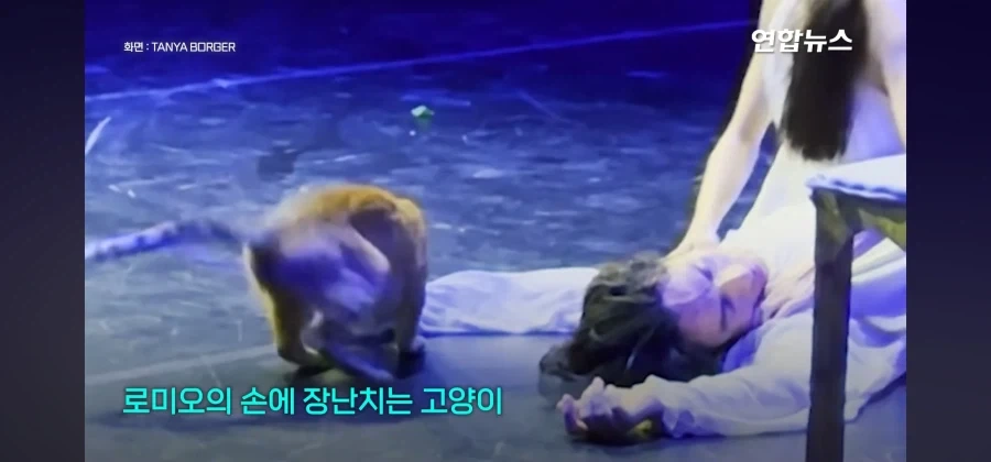 비극의 하이라이트인데 관객들 폭소가 쏟아진 공연_11.webp