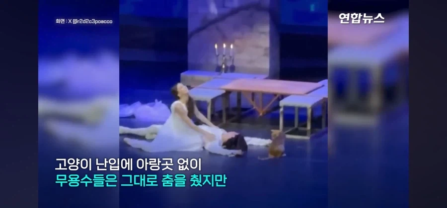 비극의 하이라이트인데 관객들 폭소가 쏟아진 공연_13.webp