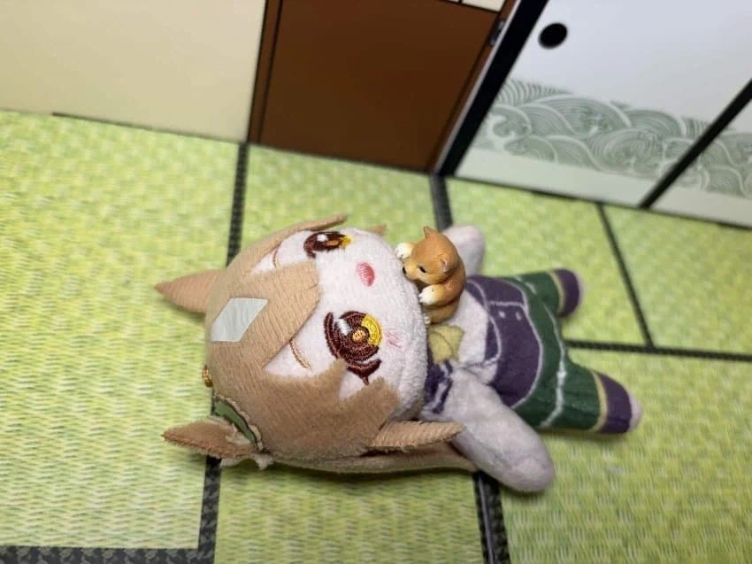 [말딸] 역시 개는 귀여워용_1.webp