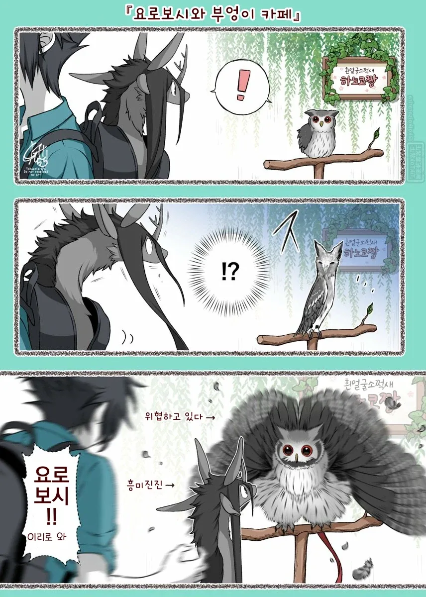 번역)재앙신과 부엉이 카페.manhwa_1.webp