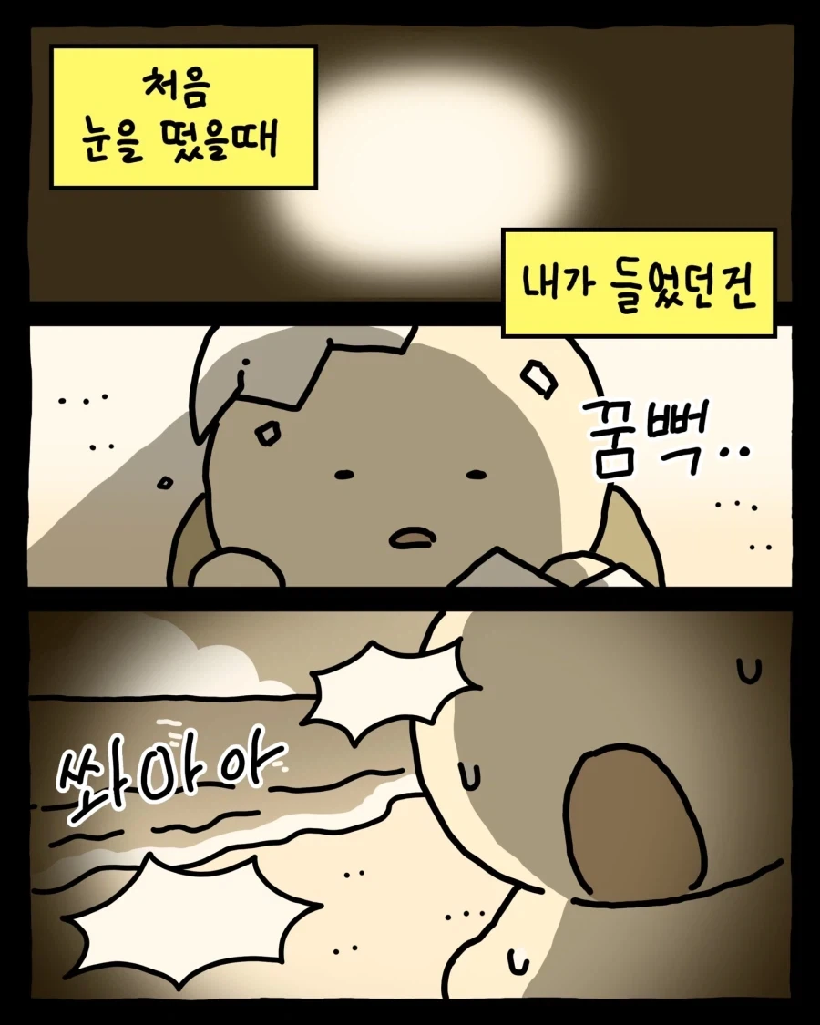 [만화] 거북이는 뒤집히면 못 일어나_1.webp