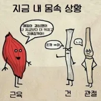 30대 넘긴 헬창들 근육상황