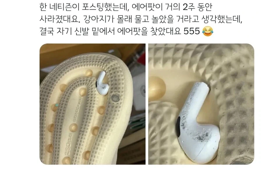 2주동안 찾아 헤맨 에어팟이 있던 장소_1.webp