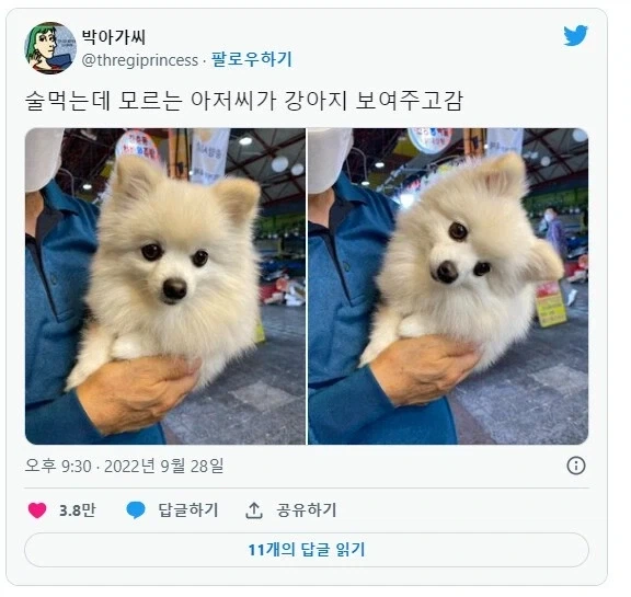 술 먹는데 모르는 아저씨가 강아지 보여주고감.jpg_1.webp