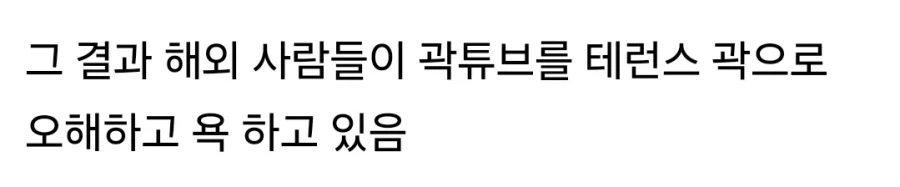 해외에서 억울하게 욕먹는 중이라는 곽튜브_6.webp