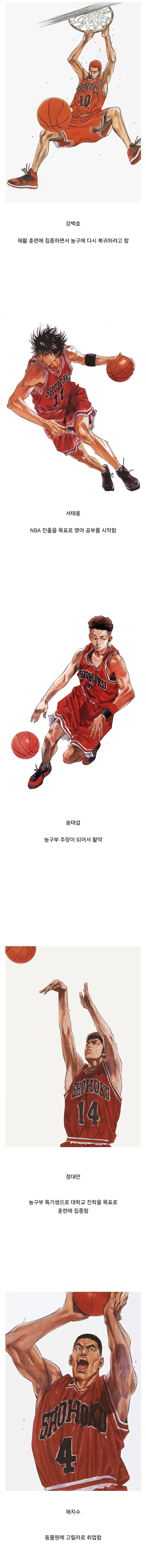 작가가 밝힌 슬램덩크 후일담_1.webp